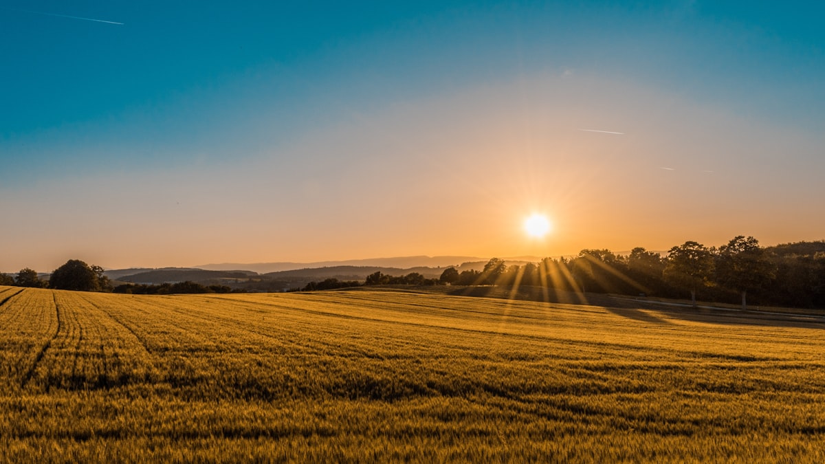 Rural Acreage Development & Fencing